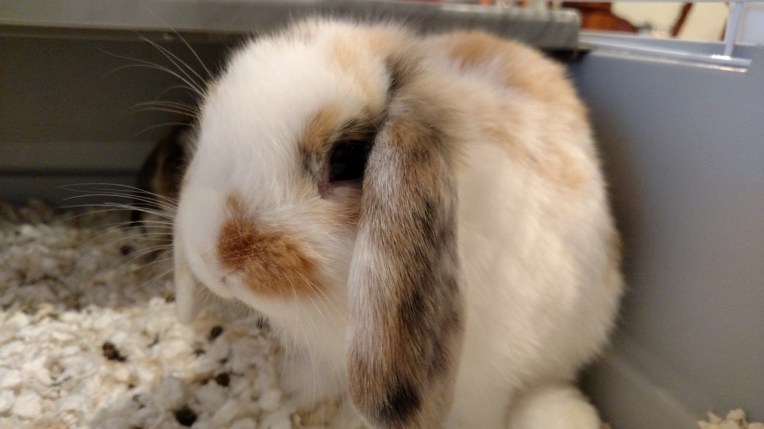 IMG_20150823_195628578 (1280x720)