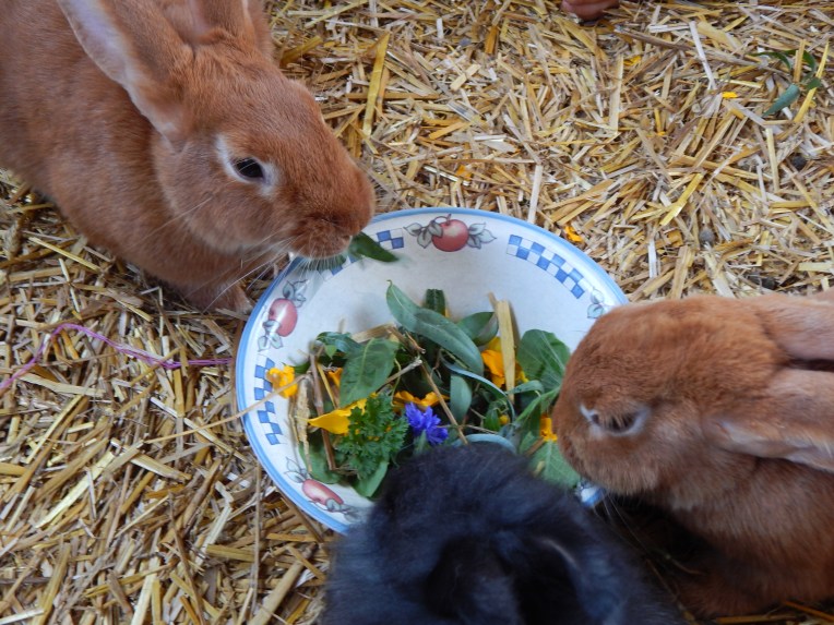 -Allison(Megan's B-day Party) 013