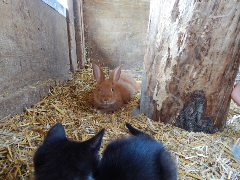 -Allison(Megan's B-day Party) 026