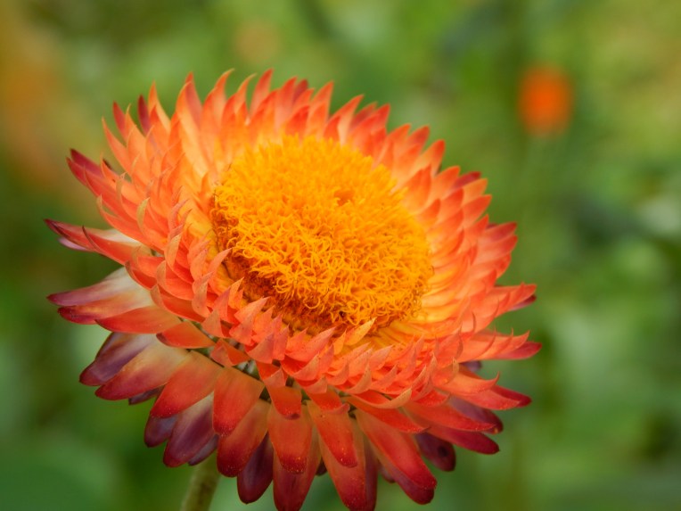 -Allison(Megan's B-day Party) 037