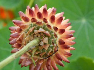 -Allison(Megan's B-day Party) 040