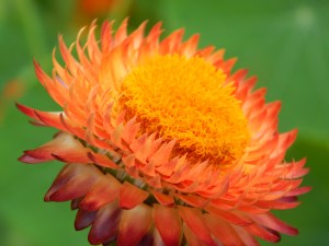 -Allison(Megan's B-day Party) 041