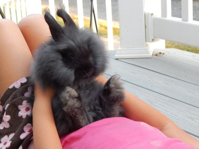 -Allison(Willow on the deck, Labor Day) 003