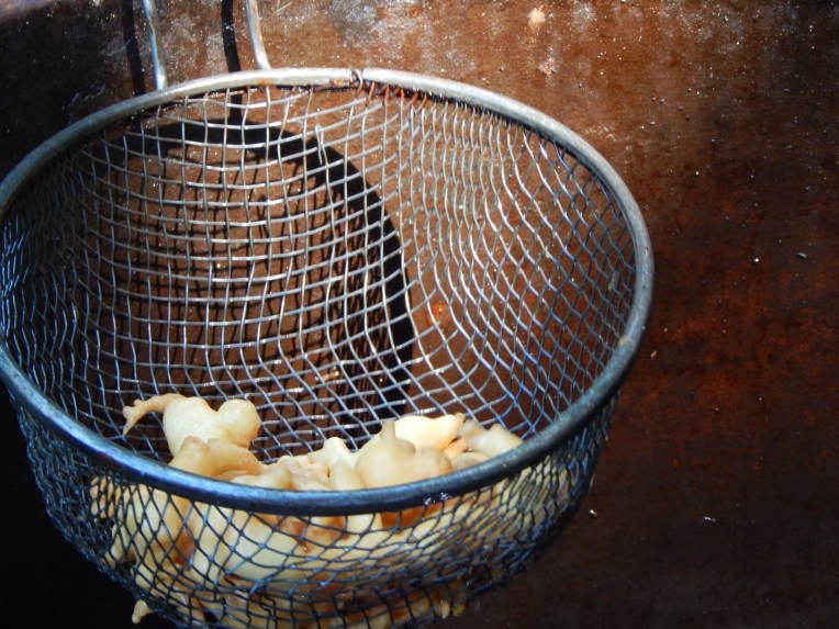 -Allison(Willow on the deck, Labor Day) 026
