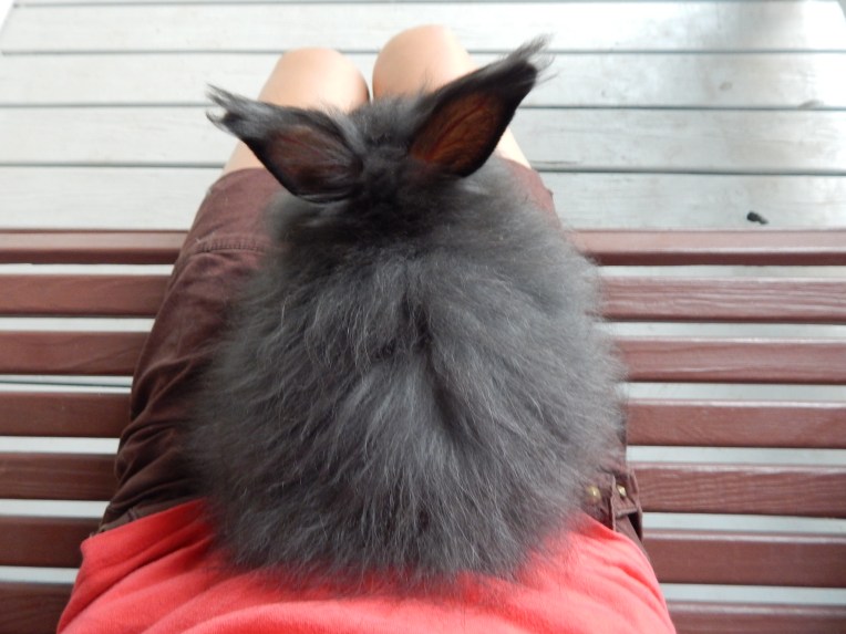 -Allison(Willow on the front porch) 001