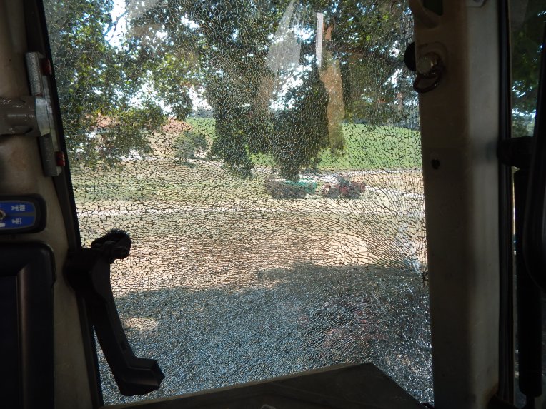 (Willow and Snickers, grease bubbles) 002