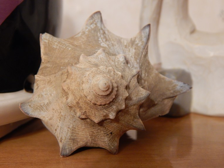 -Allison(bunny race, mystery pictures) 012