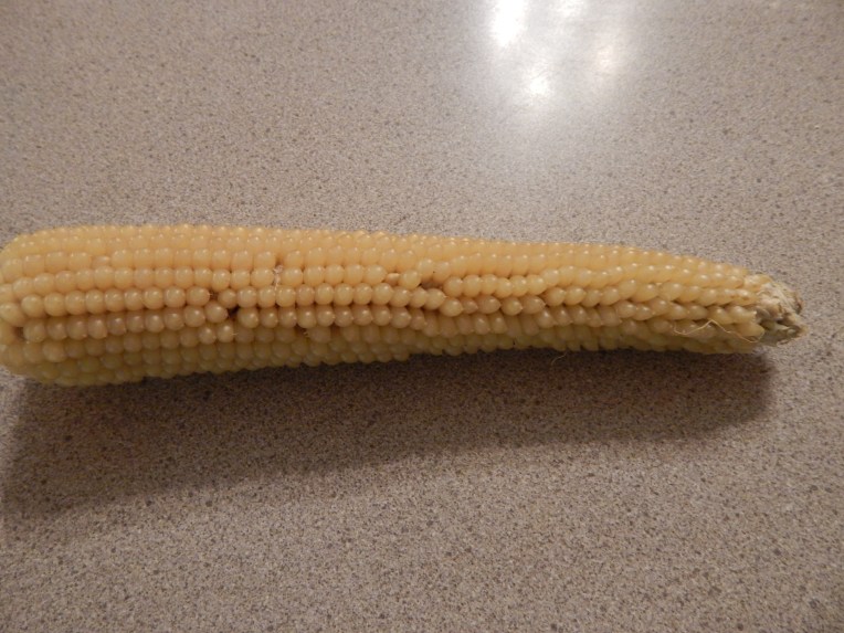 -Allison(bunny race, mystery pictures) 014