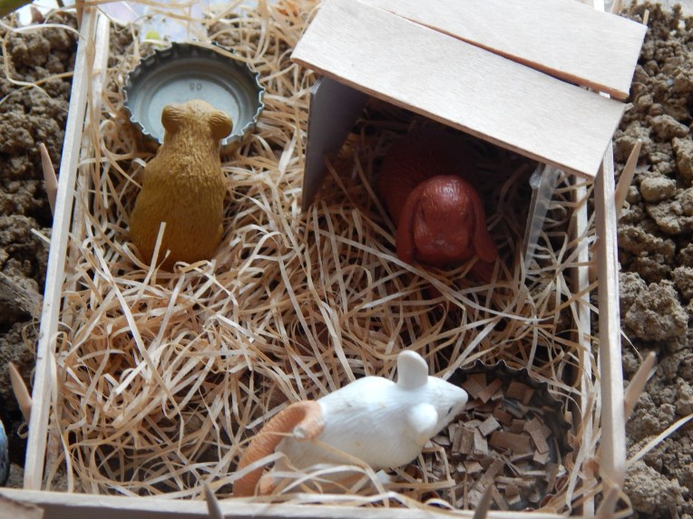 -Allison(felt doll, zoo terrarium, Clemmy) 004