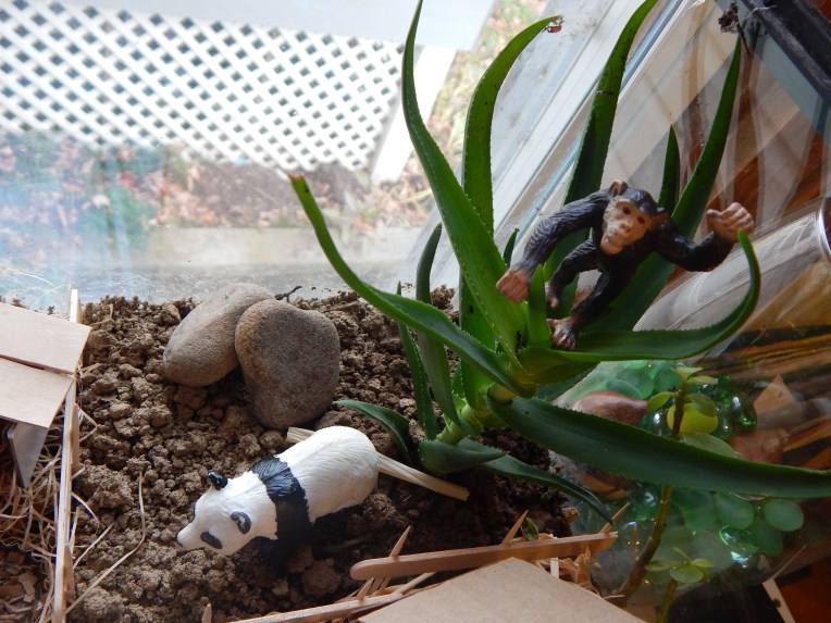 -Allison(felt doll, zoo terrarium, Clemmy) 006