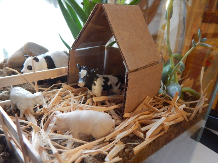 -Allison(felt doll, zoo terrarium, Clemmy) 007