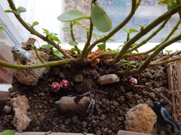 -Allison(felt doll, zoo terrarium, Clemmy) 008