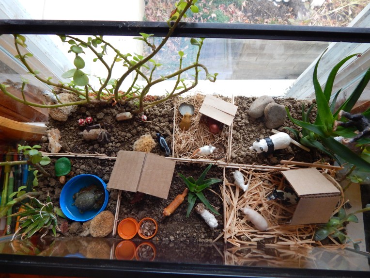 -Allison(felt doll, zoo terrarium, Clemmy) 009