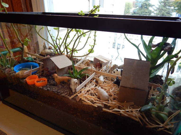 -Allison(felt doll, zoo terrarium, Clemmy) 010