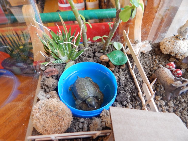 -Allison(felt doll, zoo terrarium, Clemmy) 011