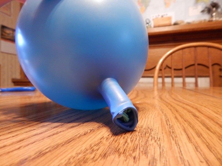 -Allison(sunset, balloon, mold) 021 (1280x960)