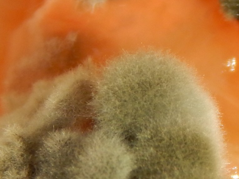 -Allison(sunset, balloon, mold) 037 (1024x768)