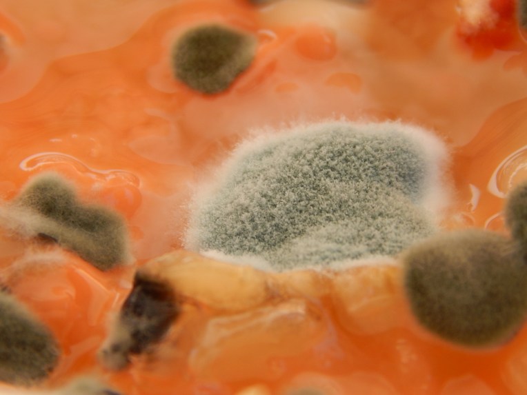 -Allison(sunset, balloon, mold) 038 (1280x960)