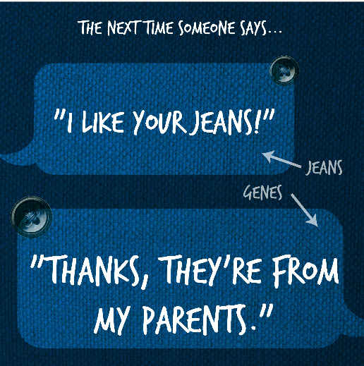 jeans vs. genes