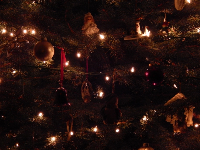 -Allison(Christmas tree and bunnies) 045 (1280x960)