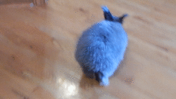 willow walking gif