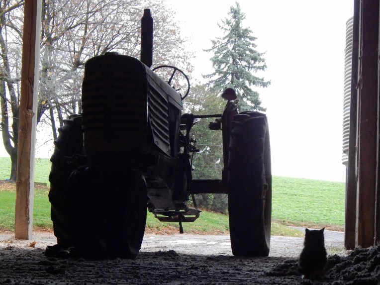 Allison(frost, bunnies, ATCs) 015 (1280x960)