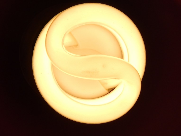 -Allison(Jinx &amp; bunnies, room) 021 (1280x960) (1280x960)