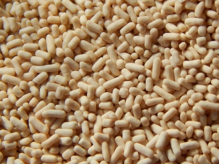 DSCN7791 (3) (1280x960)