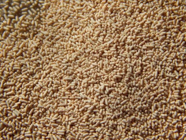 mystery pictures (10)