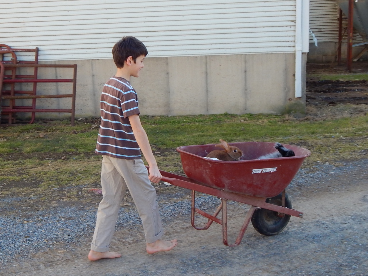 -Allison(at the creek with bunnies, clay table) 005 (1280x960)