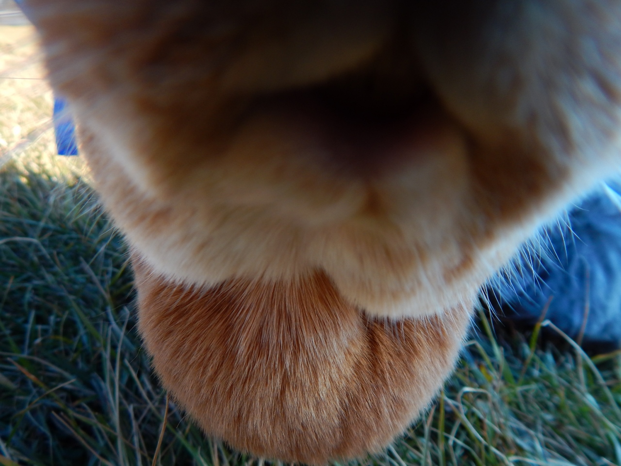 -Allison(at the creek with bunnies, clay table) 012 (1280x960)