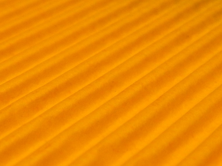 -Allison(gnome photostory) 007.JPG