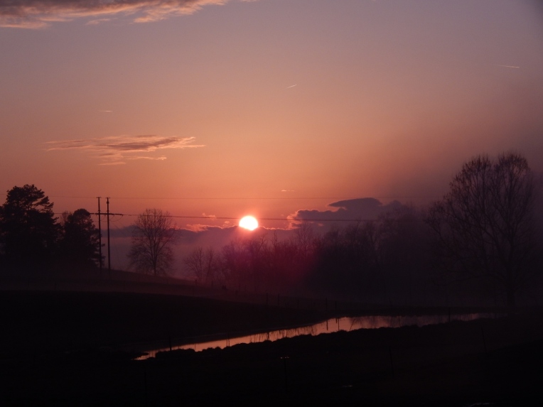 fog sunset (18) (1280x960)