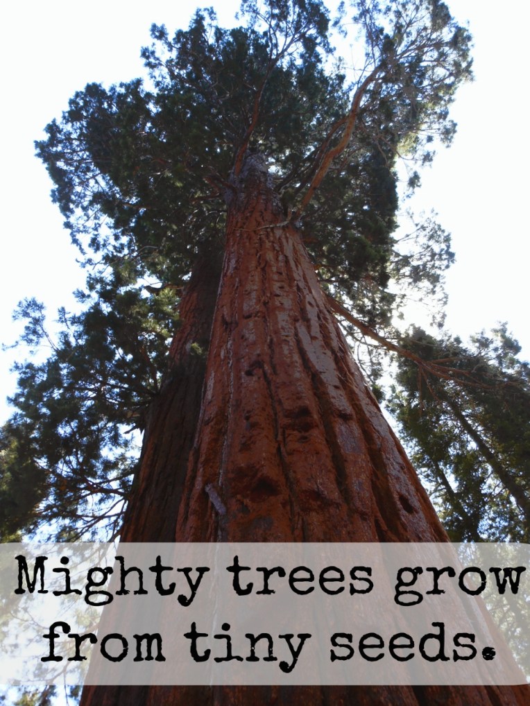 quotes 9.3 (960x1280)