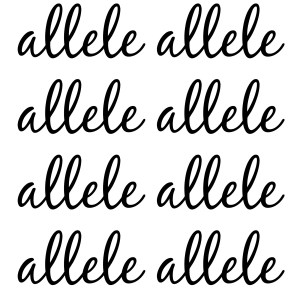 allele