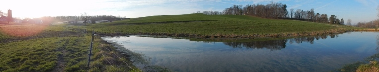 -Allison(pond, geese) 011 (1280x245)