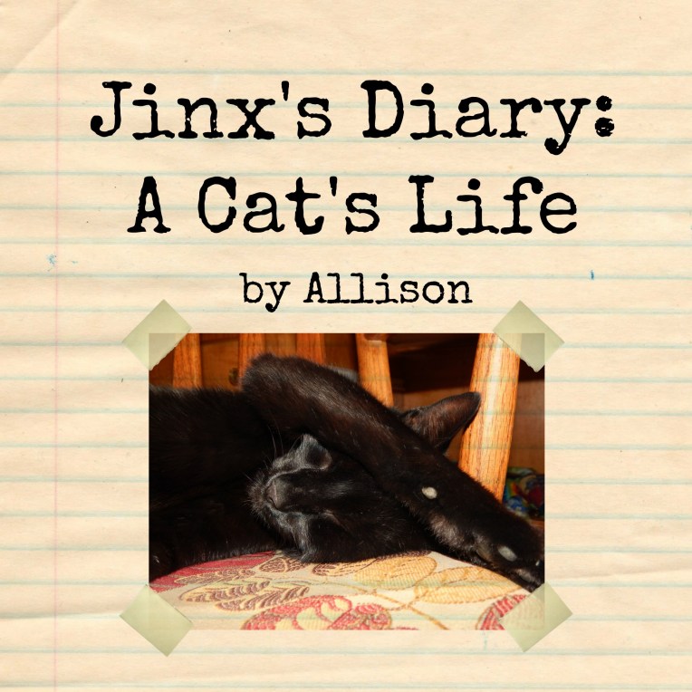 jinx's diary poster