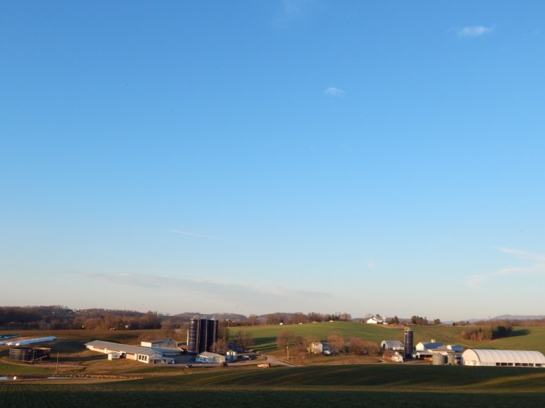 RSCN1901 (1280x960).jpg