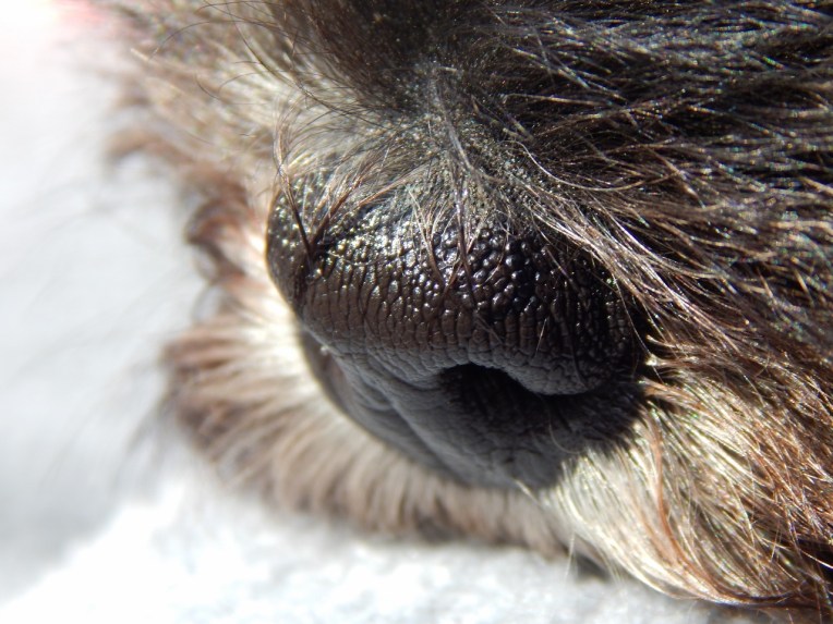 -Allison(arboretum) 050 (2) (1280x960).jpg