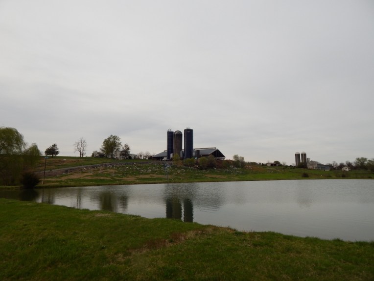 -Allison(arboretum) 052 (1280x960)