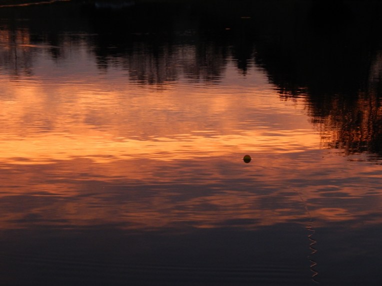 -Allison(arboretum) 059 (1280x960)