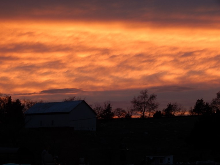 -Allison(arboretum) 063 (1280x960)