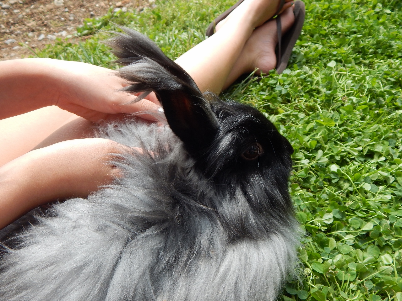 -Allison(birthday hike, bunnies) 196 (1280x960)