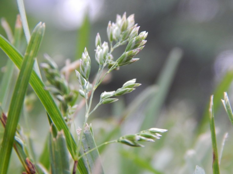 -Allison(Casey) 019 (1280x960)