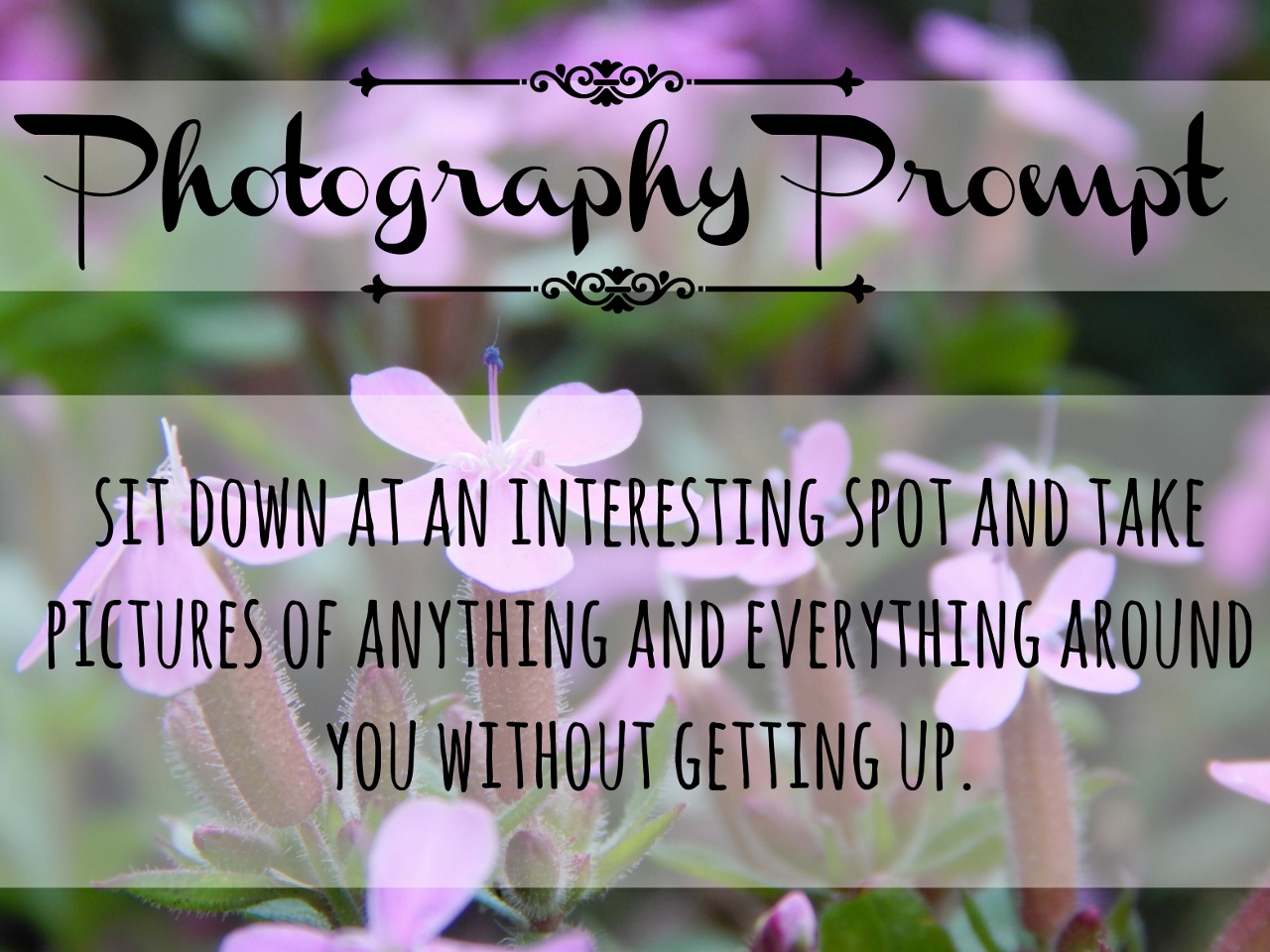 photography prompt 1 (1280x960)