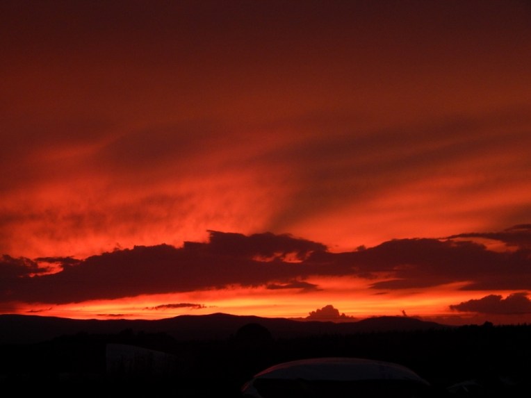 -Allison 007 (1024x768)