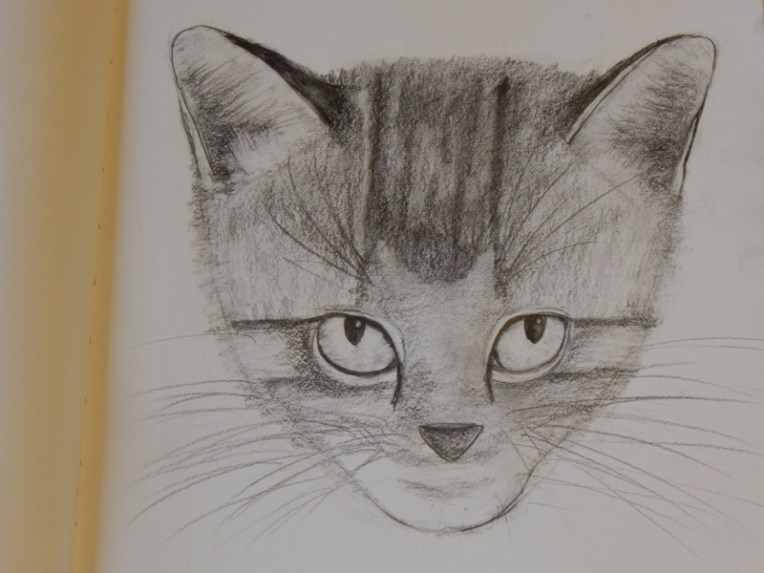 -Allison 025 (800x600)