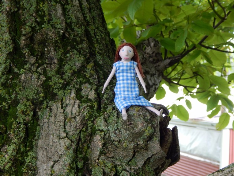 -Allison(doll, mystery pictures, bunnies) 061 (1024x768)