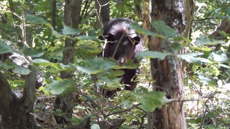 -Allison(hike) 008_Moment (1024x576)