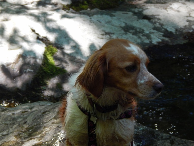 -Allison(hike) 127 (1024x768)